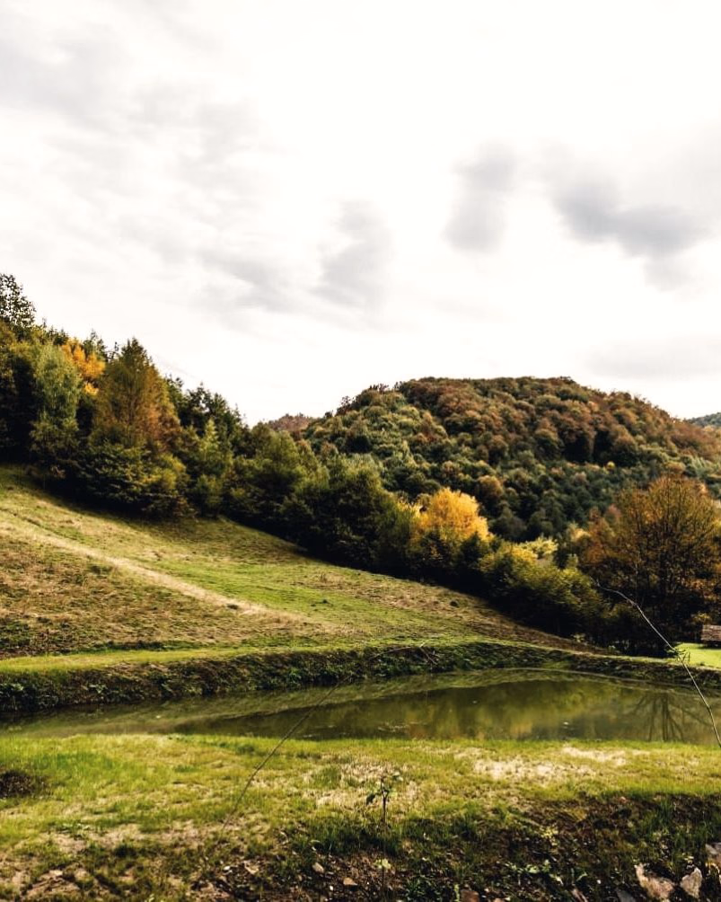 Valea Ursului în octombrie, cu pădurea ruginie